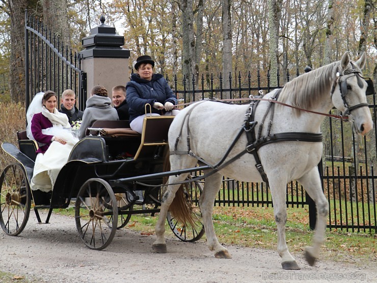 Travelnews.lv redakcija apceļo rudenīgo Vidzemi un Dikļu pils ar jauno Audi A5 Coupe 186652