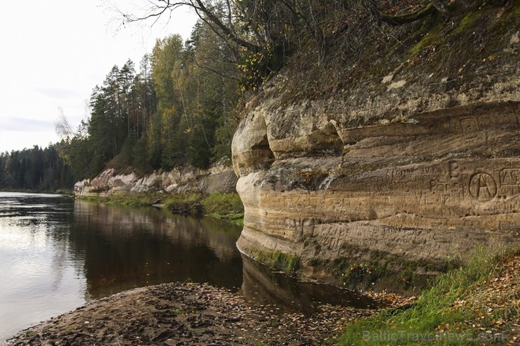 Sietiņiezis ir viens no augstākajiem baltā smilšakmens atsegumiem Latvijā 186774