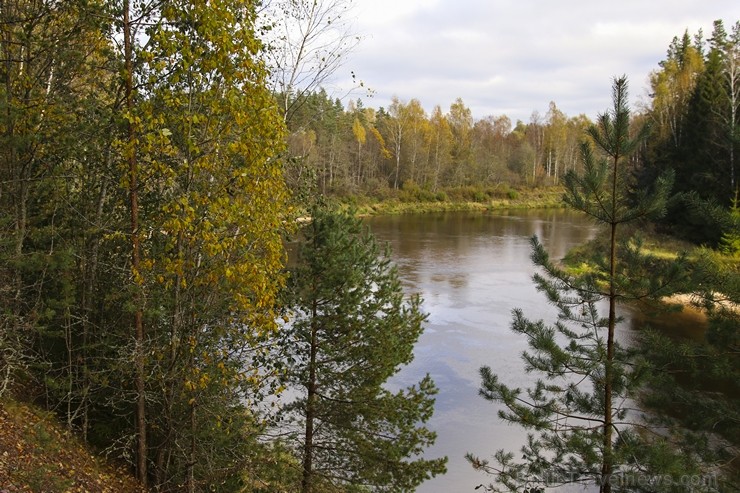 Sietiņiezis ir viens no augstākajiem baltā smilšakmens atsegumiem Latvijā 186780