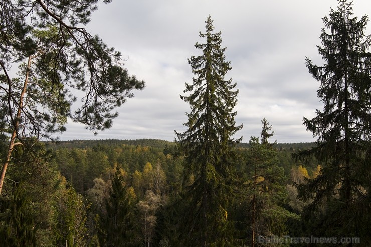 Sietiņiezis ir viens no augstākajiem baltā smilšakmens atsegumiem Latvijā 186795