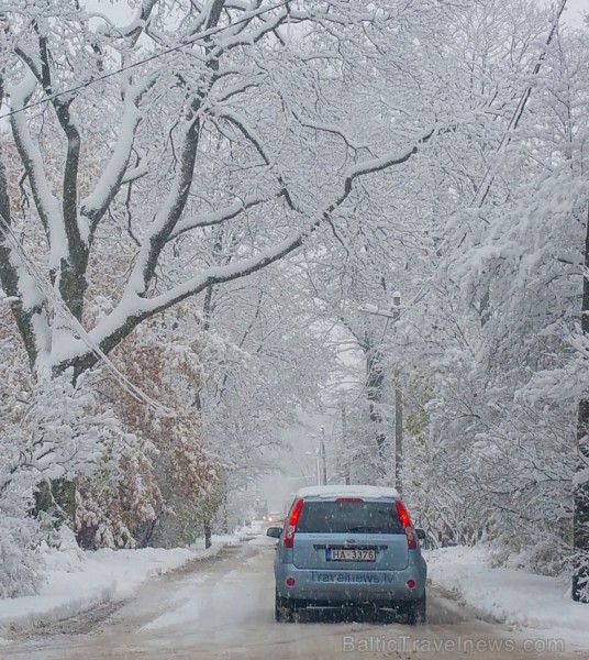 Šogad novembris ir pirmais ziemas mēnesis, bet ne pēdējais rudens mēnesis 187434