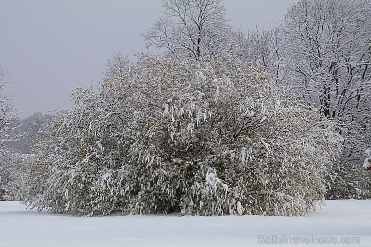 Šogad novembris ir pirmais ziemas mēnesis, bet ne pēdējais rudens mēnesis 187438