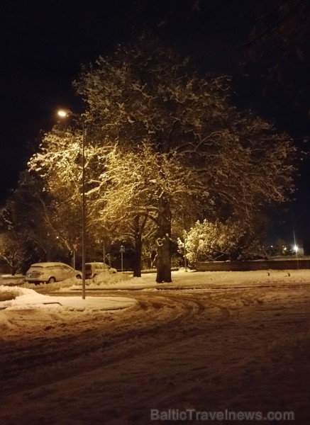 Šogad novembris ir pirmais ziemas mēnesis, bet ne pēdējais rudens mēnesis 187439