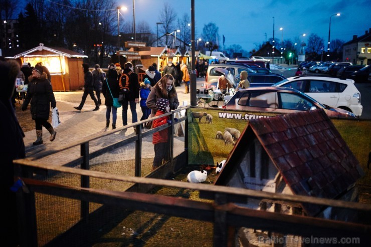 Rēzeknes Festivāla parkā skanot dziesmām ir iedegta lielā egle 189736