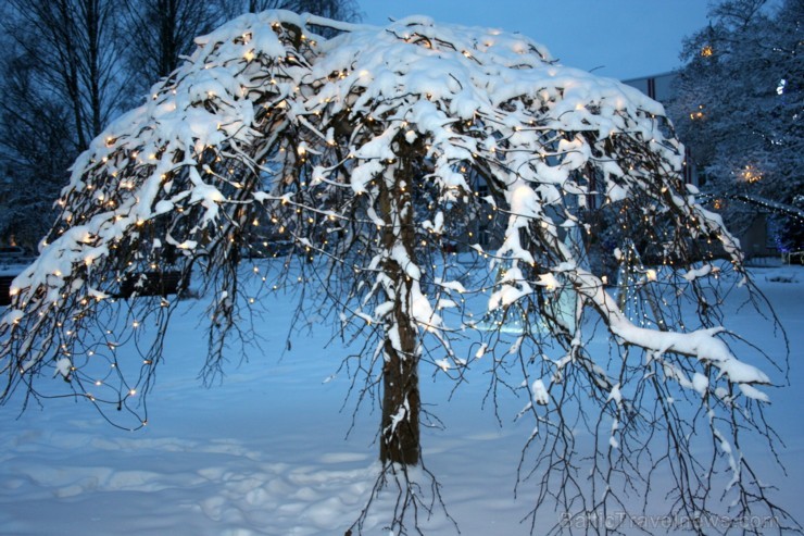 Vieni no Latvijas sniegotākajiem skatiem ved uz Gulbeni 191492