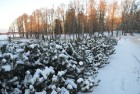 Vieni no Latvijas sniegotākajiem skatiem ved uz Gulbeni 3