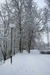 Vieni no Latvijas sniegotākajiem skatiem ved uz Gulbeni 5