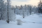 Vieni no Latvijas sniegotākajiem skatiem ved uz Gulbeni 6