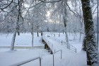 Vieni no Latvijas sniegotākajiem skatiem ved uz Gulbeni 7