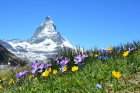 Alpu kalni, dārgi rokaspulksteņi un izsmalcināts siers - iepazīsti Šveici! 12