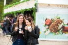 Pirmā Saldējuma festivāla laikā Jūrmalā apēsti 23 tūkstoši saldējumu 14
