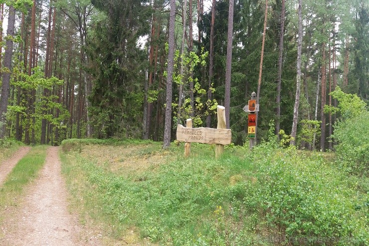 Travelnews.lv dodas ekspedīcijā pa Silenes dabas parku pie Baltkrievijas robežas 199060