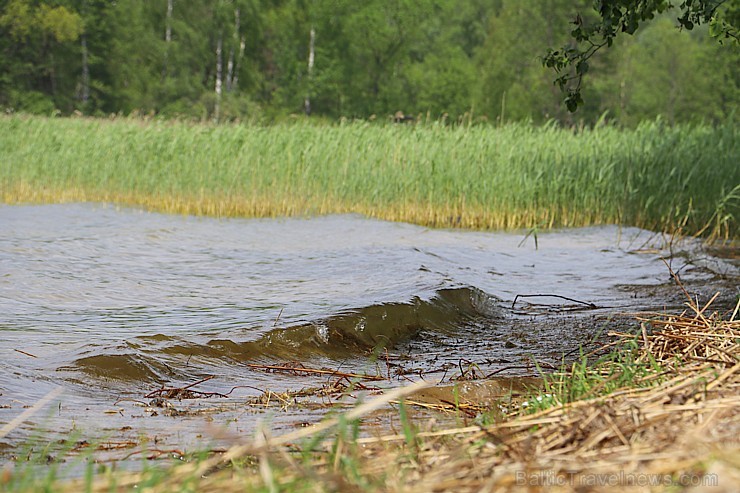 Travelnews.lv apmeklē Sivera ezeru Krāslavas novadā, kur konstatē gandrīz +20 siltu ūdeni 199961