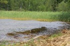 Travelnews.lv apmeklē Sivera ezeru Krāslavas novadā, kur konstatē gandrīz +20 siltu ūdeni 25