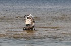 Jūrmalas atpūtnieki un viesi pludmalē ķer pēdējās siltās augusta dienas 47