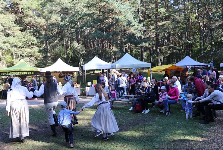 Rudens ražas svētkus svin Latvijas Etnogrāfiskais brīvdabas muzejā 207726