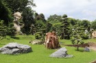 Travelnews.lv kopā ar «365 brīvdienas» un «Turkish Airlines» apmeklē Pataijas akmens parku un krokodilu fermu 5