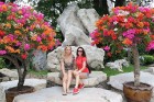 Travelnews.lv kopā ar «365 brīvdienas» un «Turkish Airlines» apmeklē Pataijas akmens parku un krokodilu fermu 33