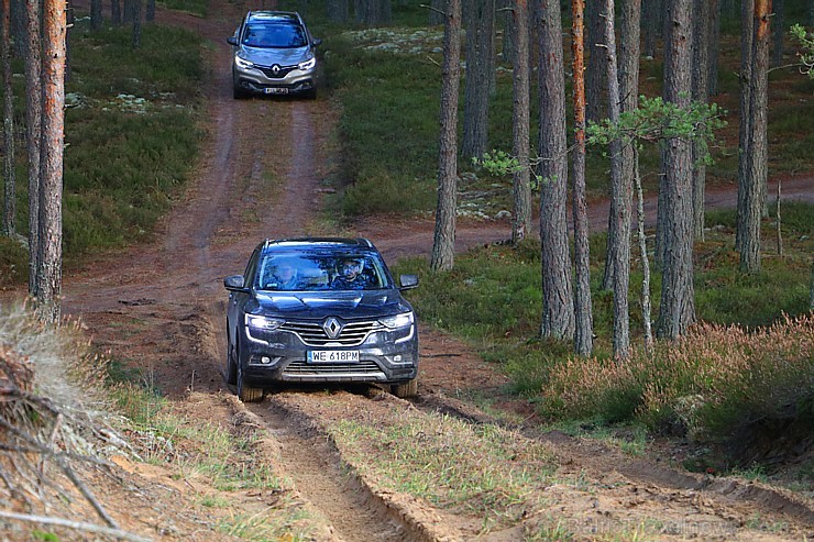 Travelnews.lv meža ceļos iepazīst trīs vāģus - Renault Captur, Renault Koleos un Renault Kadjar 211572