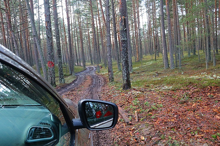 Travelnews.lv meža ceļos iepazīst trīs vāģus - Renault Captur, Renault Koleos un Renault Kadjar 211583