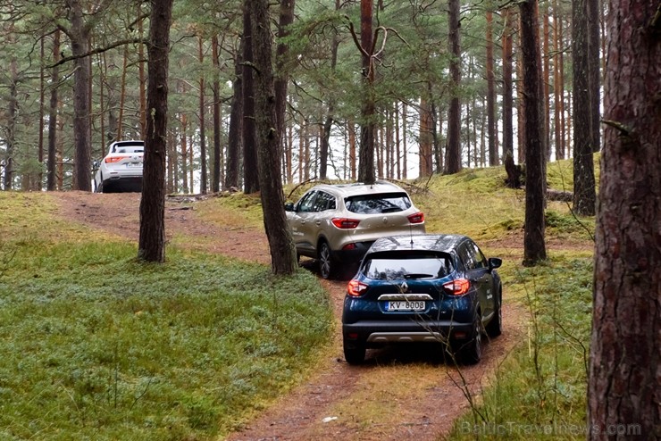 Renault krosoveri dodas Latvijas mežu ceļos. Foto: Gints Ivuškāns 211793