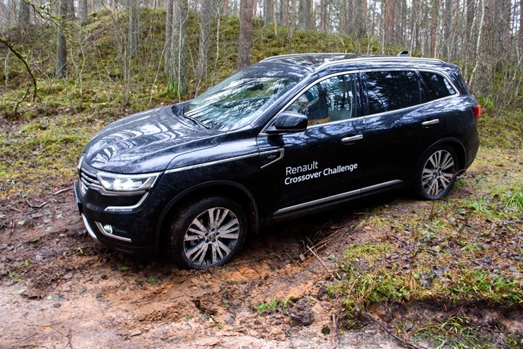 Renault krosoveri dodas Latvijas mežu ceļos. Foto: Gints Ivuškāns 211795