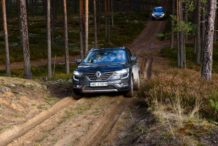 Renault krosoveri dodas Latvijas mežu ceļos. Foto: Gints Ivuškāns 211799