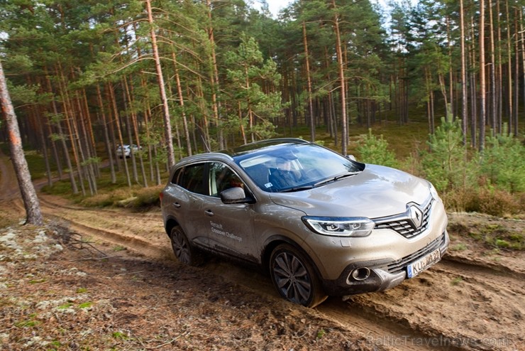 Renault krosoveri dodas Latvijas mežu ceļos. Foto: Gints Ivuškāns 211801