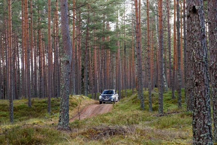 Renault krosoveri dodas Latvijas mežu ceļos. Foto: Gints Ivuškāns 211803