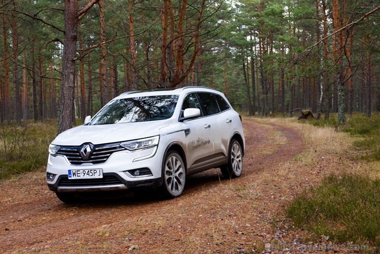 Renault krosoveri dodas Latvijas mežu ceļos. Foto: Gints Ivuškāns 211808