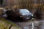 Renault krosoveri dodas Latvijas mežu ceļos. Foto: Gints Ivuškāns 4