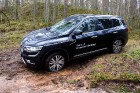 Renault krosoveri dodas Latvijas mežu ceļos. Foto: Gints Ivuškāns 7