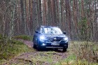 Renault krosoveri dodas Latvijas mežu ceļos. Foto: Gints Ivuškāns 24