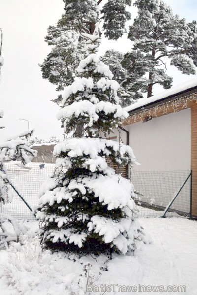 Ventspils «Lemberga hūtē» bauda sniegu, bet gaida salu, lai tas varētu noturēties 212870