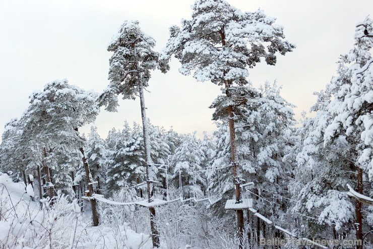 Ventspils «Lemberga hūtē» bauda sniegu, bet gaida salu, lai tas varētu noturēties 212874