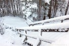 Ventspils «Lemberga hūtē» bauda sniegu, bet gaida salu, lai tas varētu noturēties 11