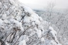 Ventspils «Lemberga hūtē» bauda sniegu, bet gaida salu, lai tas varētu noturēties 15