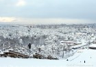 Ventspils «Lemberga hūtē» bauda sniegu, bet gaida salu, lai tas varētu noturēties 22