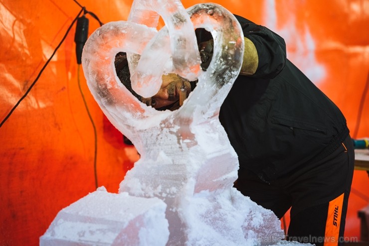 Jelgavā tapušas pirmās 30 ledus skulptūras 215929
