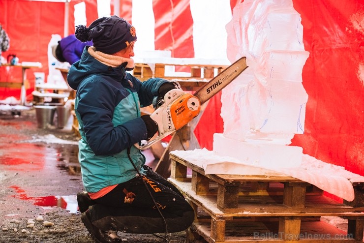 Jelgavā tapušas pirmās 30 ledus skulptūras 215936