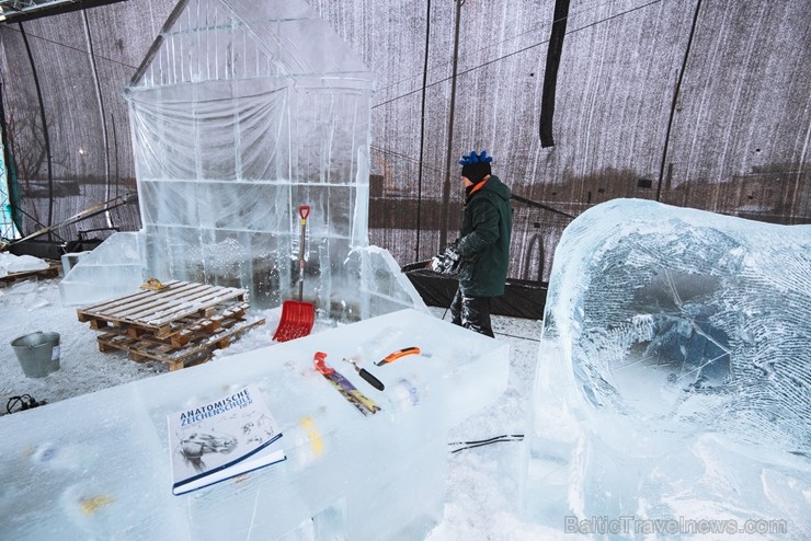 Jelgavā tapušas pirmās 30 ledus skulptūras 215951