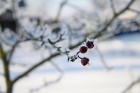 Travelnews.lv aicina baudīt pēdējos ziemas mirkļus 9