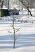Travelnews.lv aicina baudīt pēdējos ziemas mirkļus 13