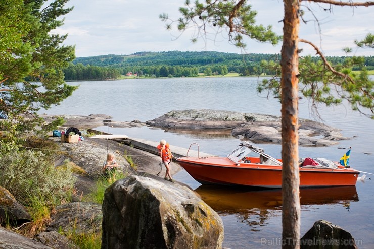 Iepazīsti Zviedrijas dabas dažādību. Foto: Johan Willner/imagebank.sweden.se 218773