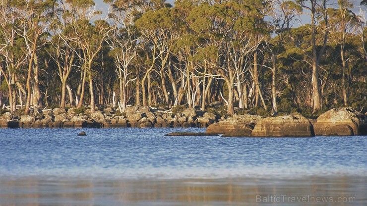 Iepazīsti skaisto Tasmanijas salu Austrālijā. Foto: Todd Moen / Catch Magazine 219389