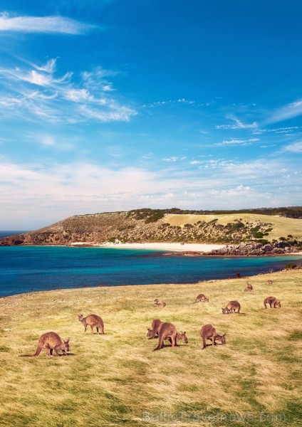 Iepazīsti krāšņos Dienvidaustrālijas plašumus. Foto: South Australian Tourism Commission 219934
