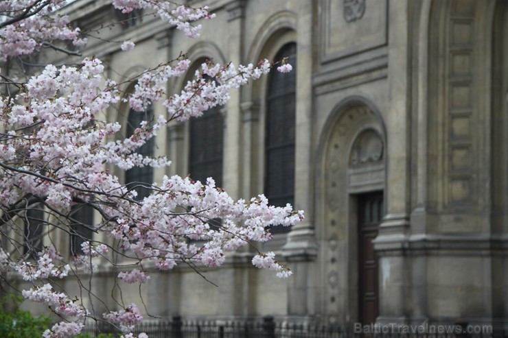 Travelnews.lv pārliecinās, ka Parīzē jau var baudīt pavasari 220101