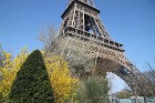 Travelnews.lv pārliecinās, ka Parīzē jau var baudīt pavasari 10