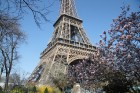Travelnews.lv pārliecinās, ka Parīzē jau var baudīt pavasari 12
