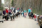 Travelnews.lv kopā ar «Dabas Sporta Zāli» dodas pārgājienā pa Ķemeru Nacionālo parku 31